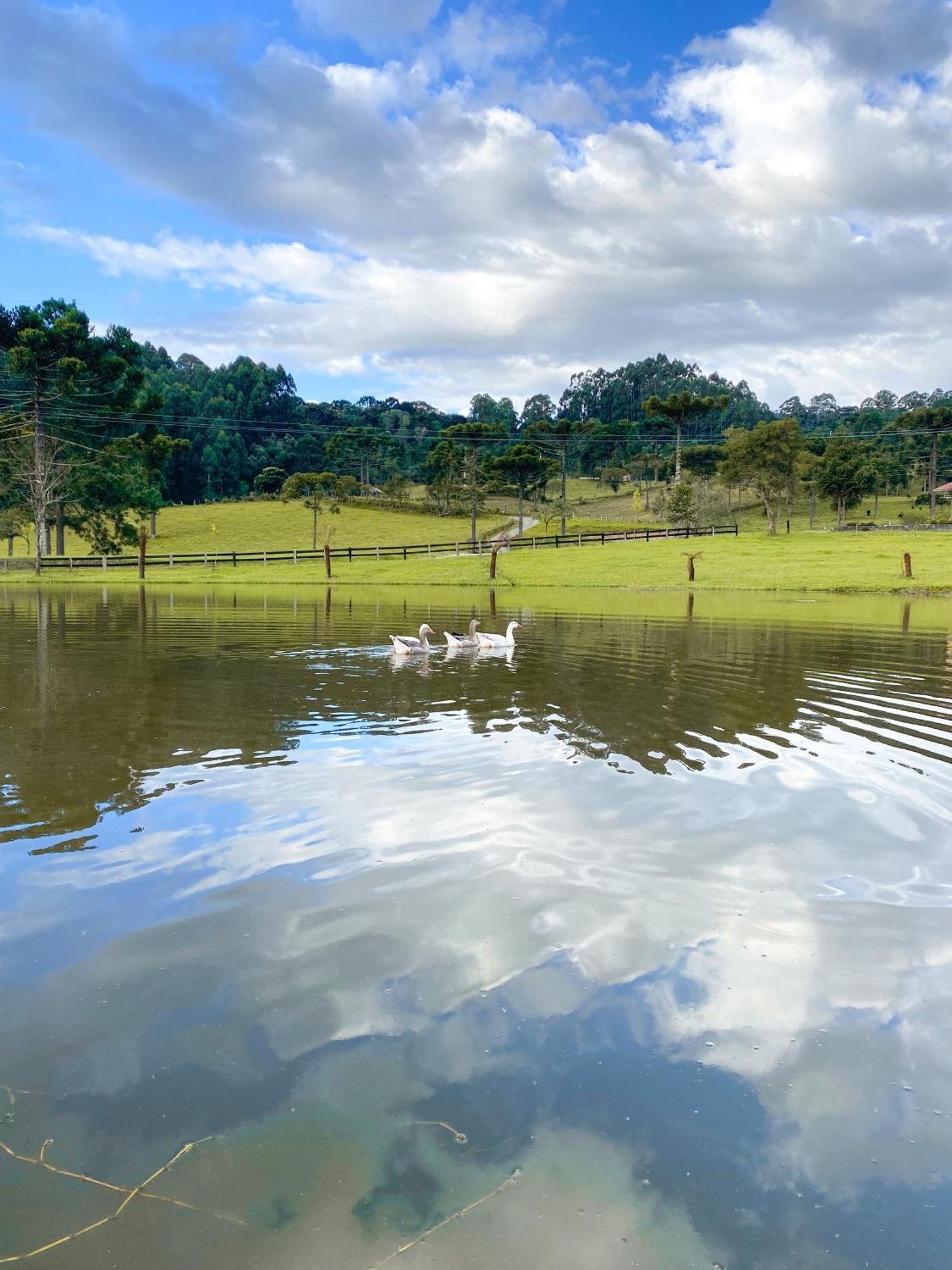 Pousada Rural Pavao - Suites E Chales Урубиси Экстерьер фото